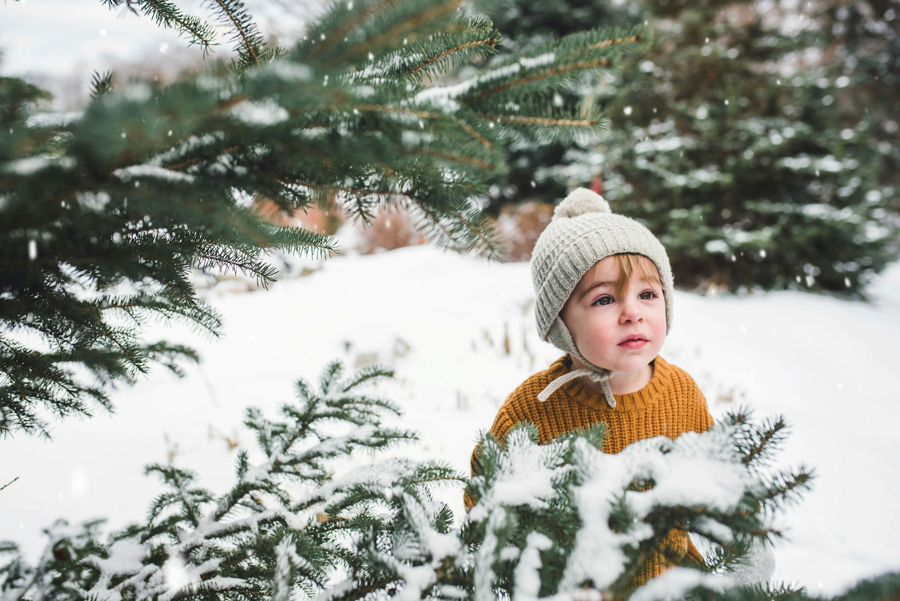 A toddler exploring pine branches outdoors